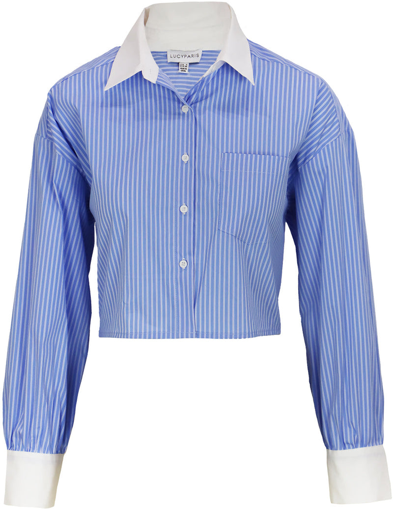 Hudson Striped Button Down Shirt | Blue