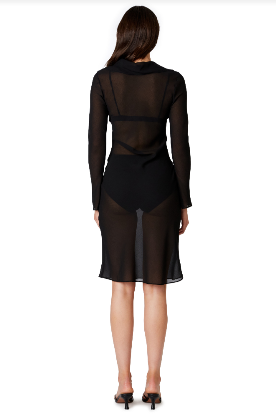 Alva Tunic Sheer Dress | Black