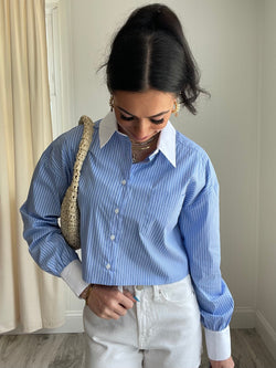 Hudson Striped Button Down Shirt | Blue